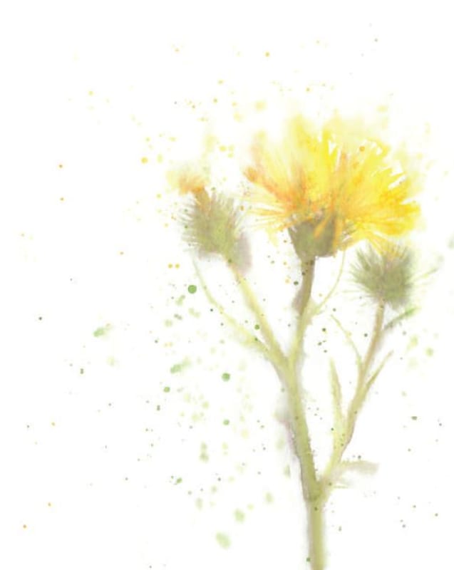 Kinero Cellars Alice Grenache Blanc 2014 Front Label