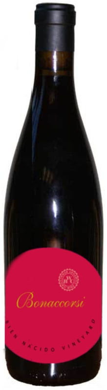 Bonaccorsi Bien Nacido Vineyard Pinot Noir 2013 Front Bottle Shot