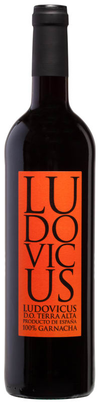 Pinol Ludovicus Tinto 2019 Front Bottle Shot