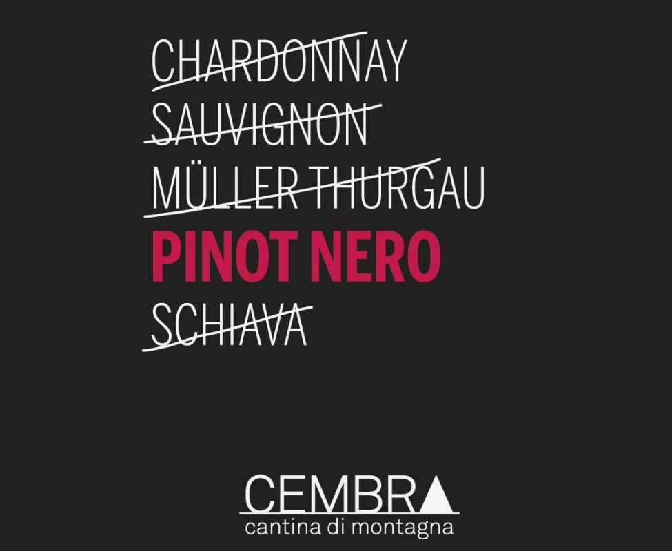 Cembra Cantina di Montagna Pinot Noir 2015 Front Label