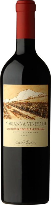 アンドレ・コタボ「バラ」30.5×19.5額54×43cmリトグラフ33/150 Catena Zapata Adrianna Vineyard Mundus Bacillus Terrae Malbec 2020