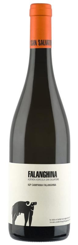 San Salvatore Falanghina 2024 Front Bottle Shot