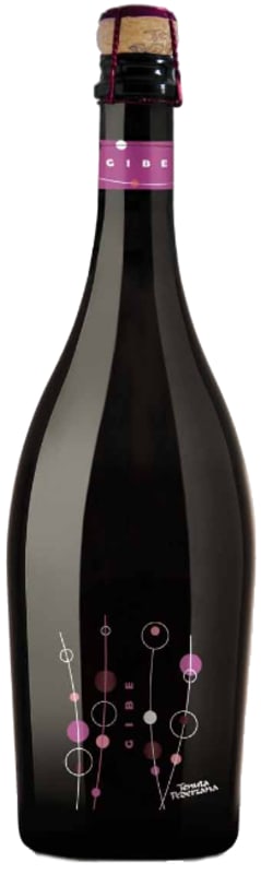Pederzana Gibe Lambrusco Grasparossa di Castelvetro 2016 Front Bottle Shot