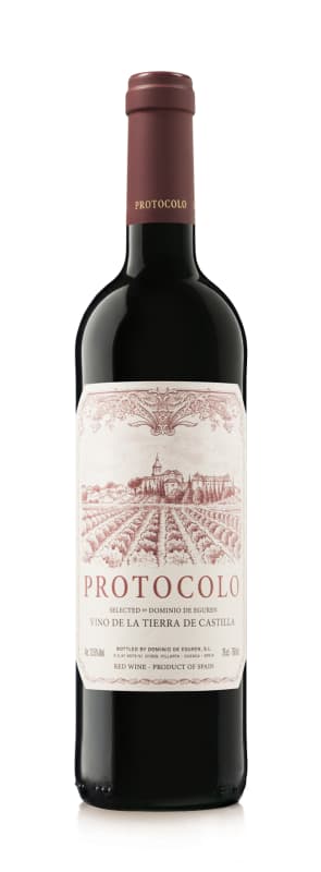 Dominio de Eguren Protocolo Tinto 2017 Front Bottle Shot