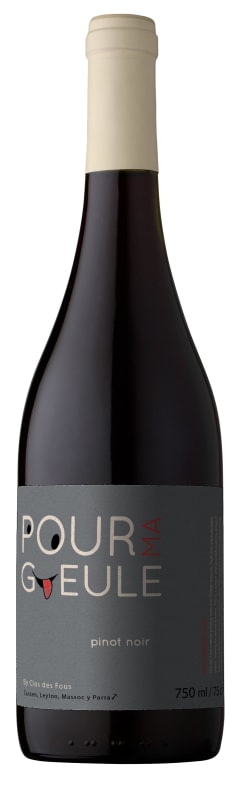 Clos des Fous PMG Pinot Noir 2016 Front Bottle Shot