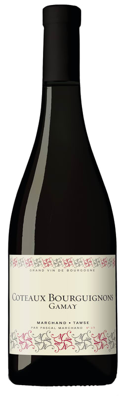 Marchand-Tawse Coteaux Bourguignons Gamay 2017 Front Bottle Shot