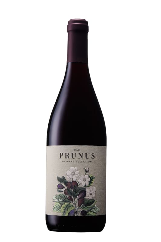 Gota Wines Prunus Tinto 2021 Front Bottle Shot