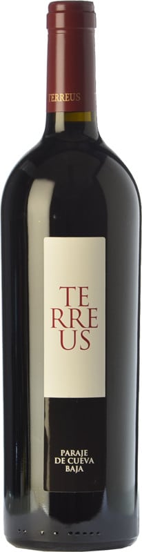 Bodegas Terreus Pago de Cueva Baja 2009 Front Bottle Shot