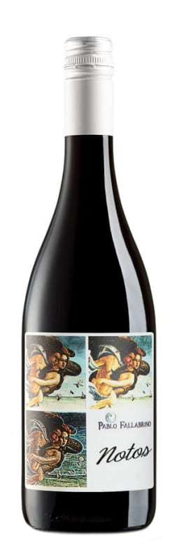 Bodega Pablo Fallabrino Notos Nebbiolo 2020 Front Bottle Shot