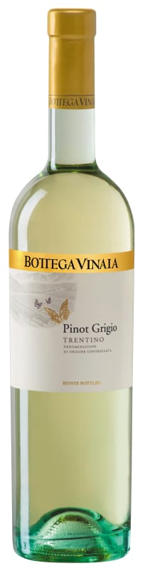 Bottega Vinaia Pinot Grigio 2022 Front Bottle Shot