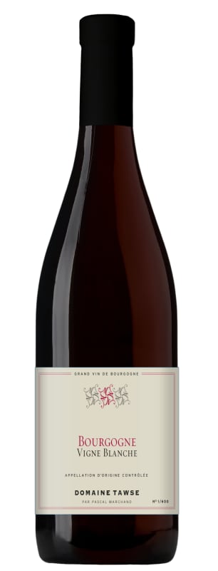 Domaine Tawse Bourgogne Vigne Blanche 2020 Front Bottle Shot