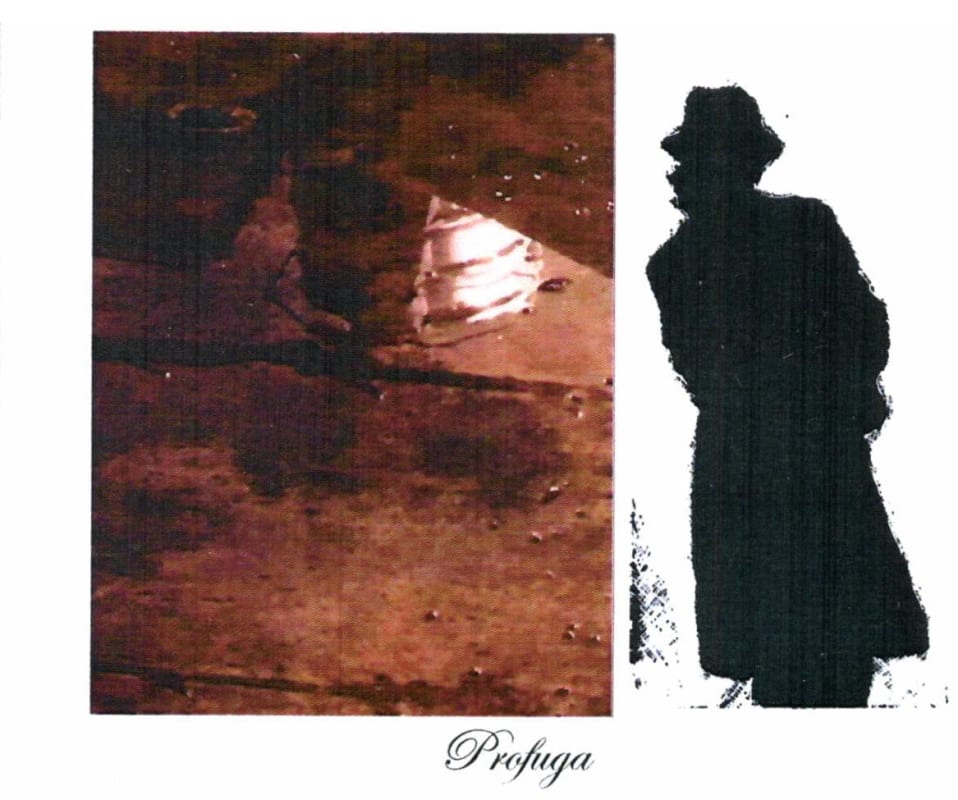 Sine Qua Non Grenache Profuga 2018 Front Label
