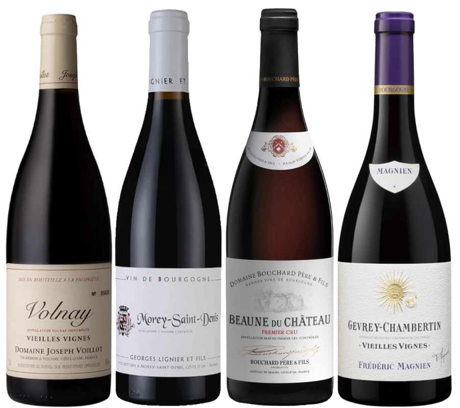 Kevin Zraly's Master Tasting Class - Red Wines of Burgundy Gift Product Image