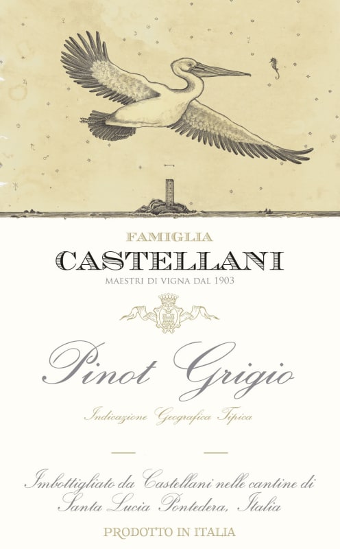 Castellani Pinot Grigio 2017 Front Label
