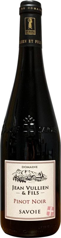 Domaine Jean Vullien Pinot Noir 2021 Front Bottle Shot