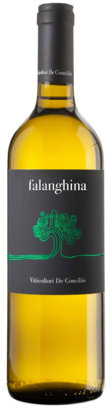De Conciliis Falanghina 2024 Front Bottle Shot