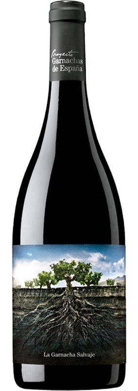 Proyecto Salvaje del Moncayo Garnacha 2019 Front Bottle Shot