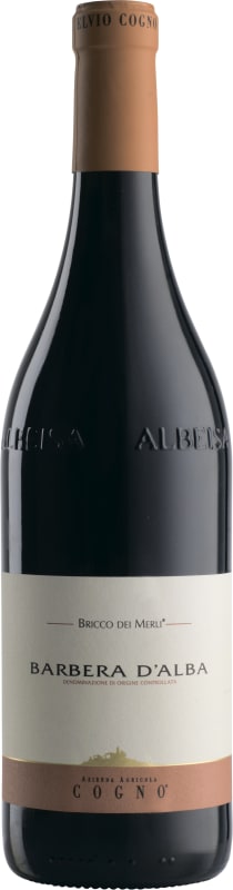 Elvio Cogno Bricco dei Merli Barbera 2020 Front Bottle Shot