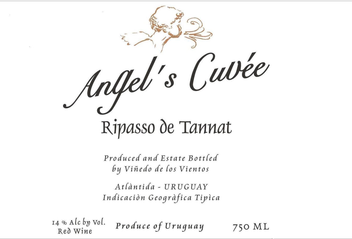 Vinedo de los Vientos Angel's Cuvée Ripasso de Tannat 2011 Front Label