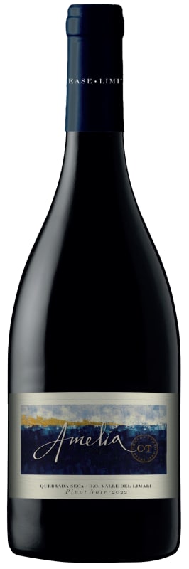 Concha y Toro Amelia Pinot Noir 2022 Front Bottle Shot