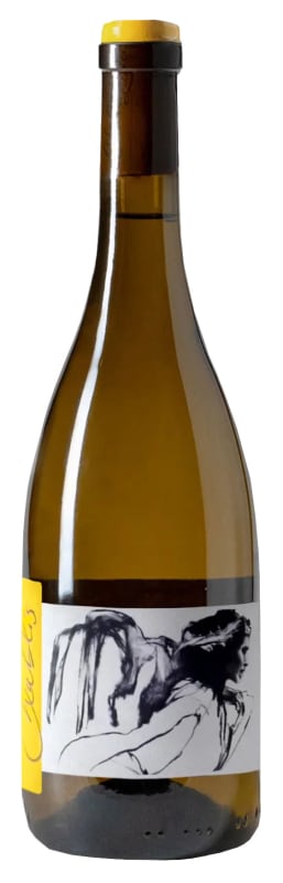 Domaine Pattes Loup Chablis Vent d'Ange Mise Tardive 2022 Front Bottle Shot