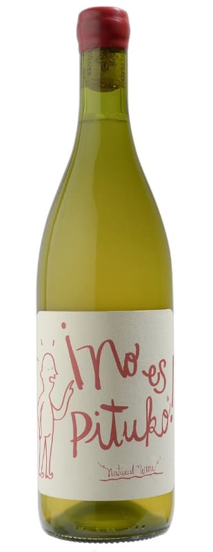 Echeverria No Es Pituko Natural Wine Chardonnay 2023 Front Bottle Shot