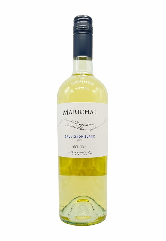 Marichal Sauvignon Blanc 2021 Front Bottle Shot