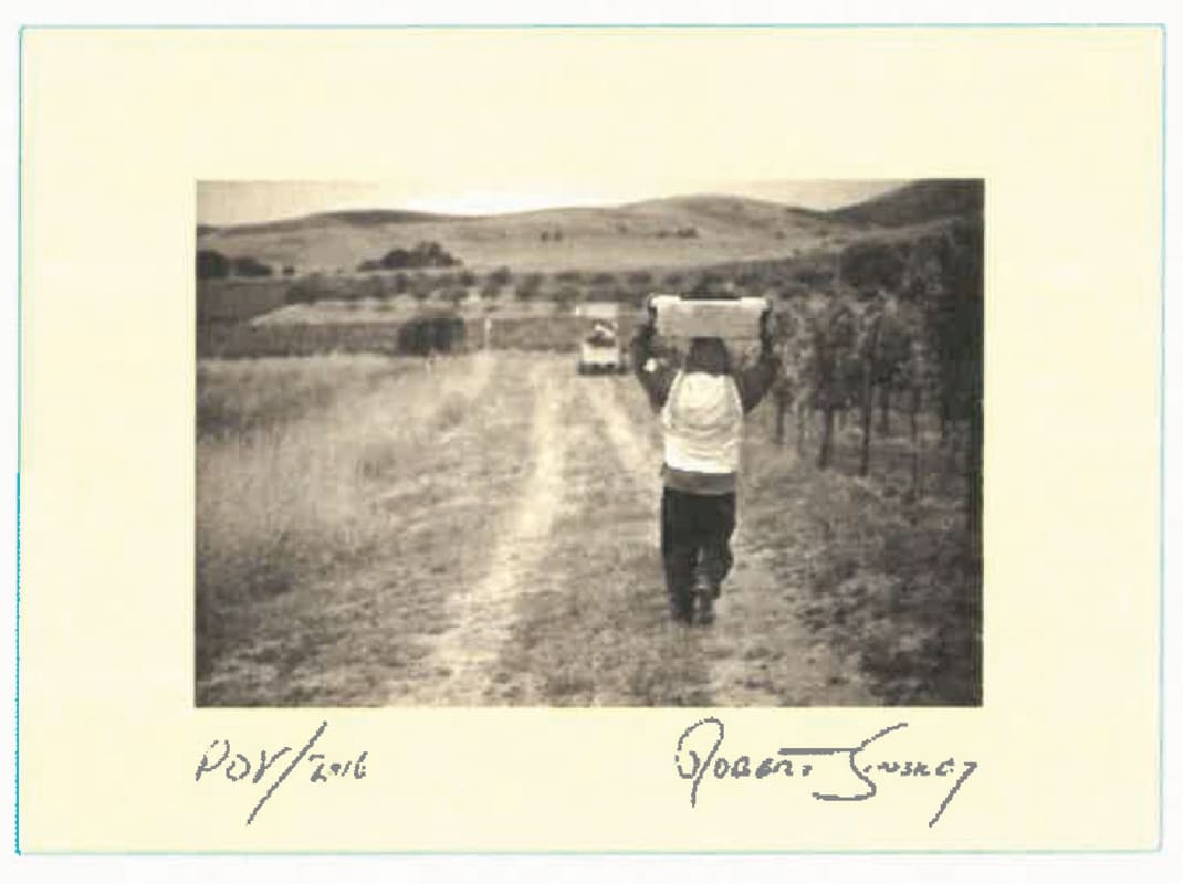 Robert Sinskey Point of View 2016 Front Label