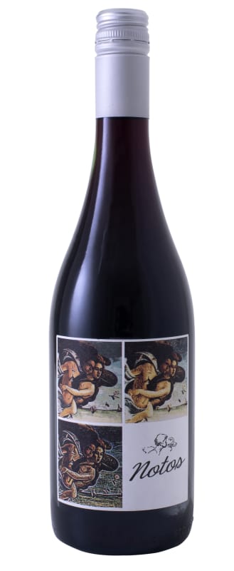 Bodega Pablo Fallabrino Notos Nebbiolo 2018 Front Bottle Shot