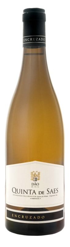 Quinta da Pellada Quinta de Saes Encruzado Reserva 2016 Front Bottle Shot