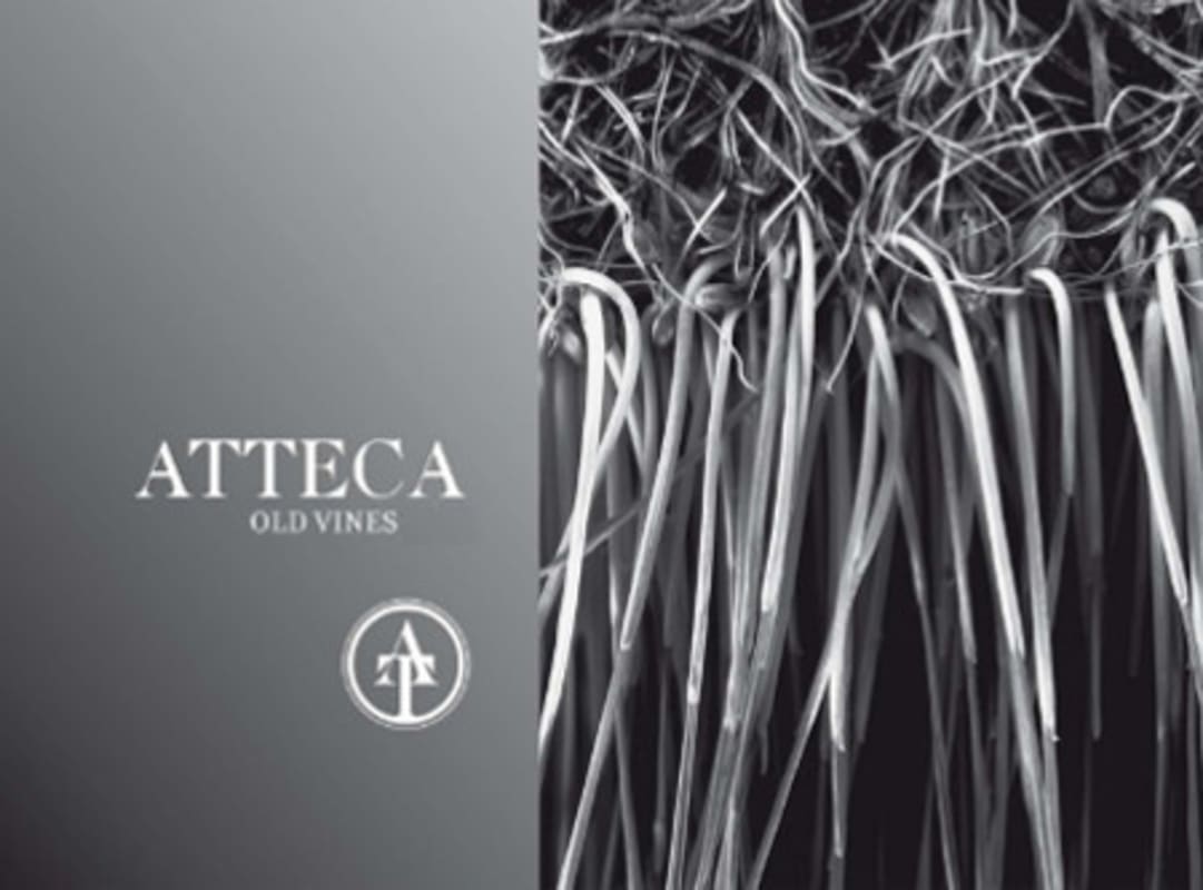 Bodegas Ateca Old Vines Grenache 2010 Front Label