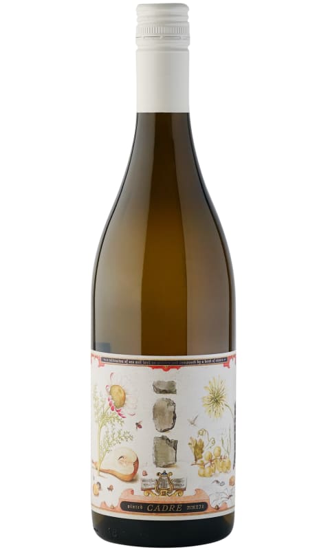 Cadre Band of Stones Gruner Veltliner 2020 Front Bottle Shot