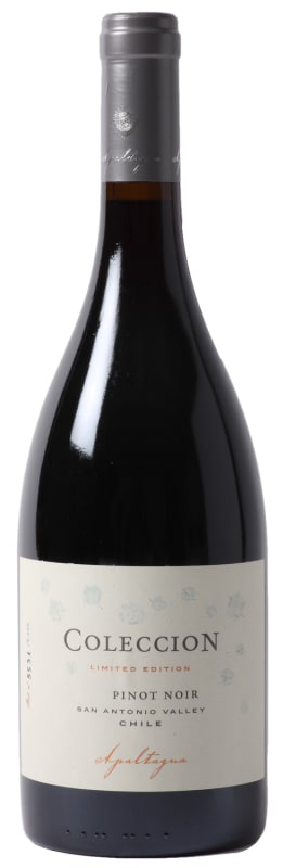 Apaltagua Coleccion Pinot Noir 2014 Front Bottle Shot