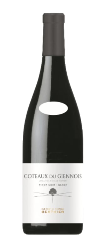 Clement & Florian Berthier Coteaux du Giennois Rouge 2021 Front Bottle Shot