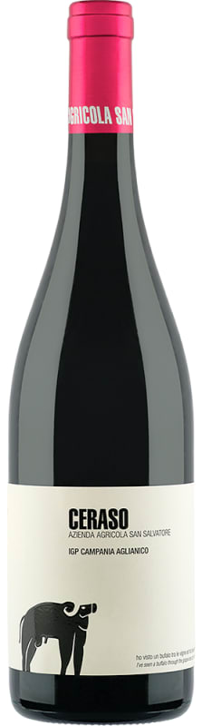 San Salvatore Ceraso Paestum Aglianico 2022 Front Bottle Shot