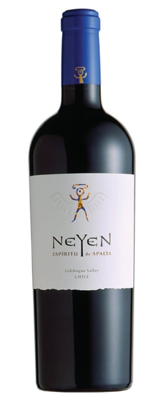 Neyen Espiritu de Apalta 2013 Front Bottle Shot