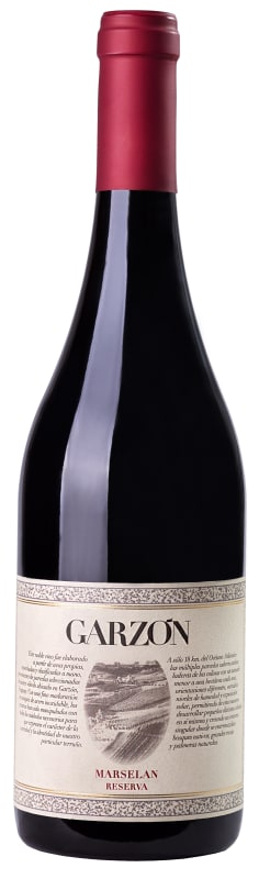 Bodega Garzon Uruguay Marselan Reserva 2020 Front Bottle Shot