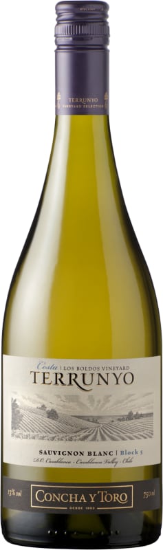 Terrunyo Sauvignon Blanc 2017 Front Bottle Shot