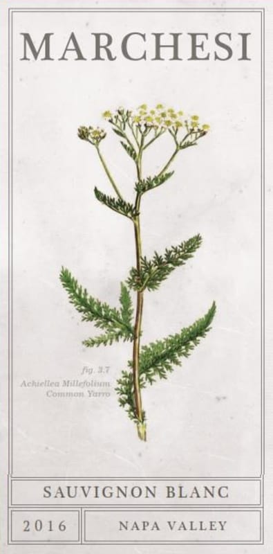 Marchesi Sauvignon Blanc 2016 Front Label