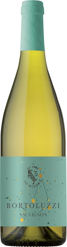 Bortoluzzi Sauvignon 2021 Front Bottle Shot