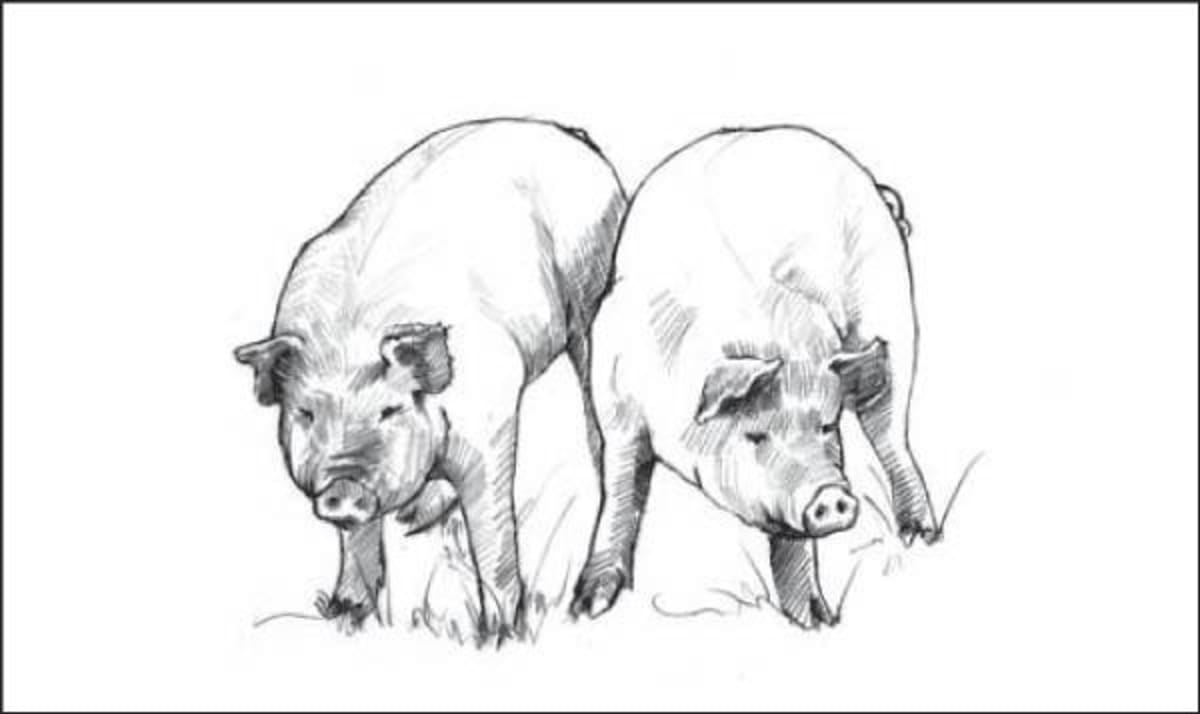 Big Table Farm Willamette Valley Pinot Noir 2010 Front Label