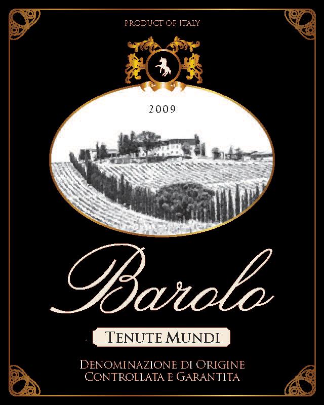 Tenute Costa Barolo 2009 Front Label