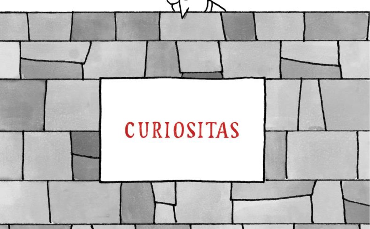 The Walls Curiositas 2017 Front Label