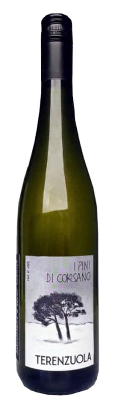 Terenzuola I Pini di Corsano Vermentino 2024 Front Bottle Shot