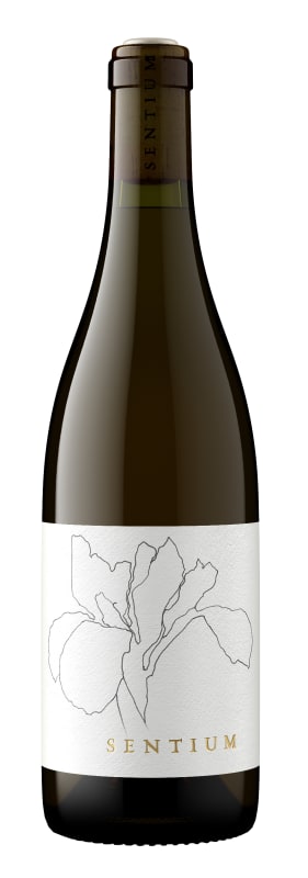 Sentium Sauvignon Blanc 2024 Front Bottle Shot
