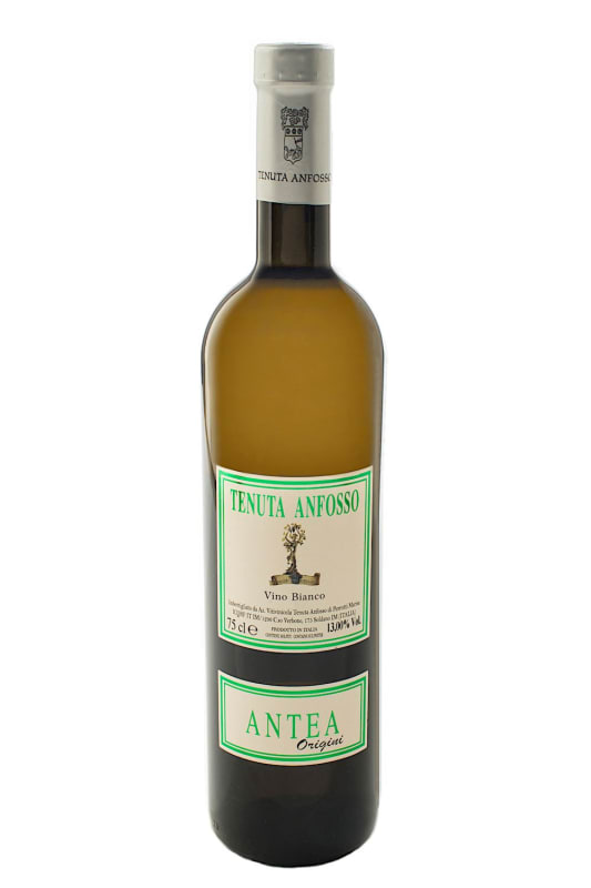 Tenuta Anfosso Antea Vino Bianco 2018 Front Bottle Shot