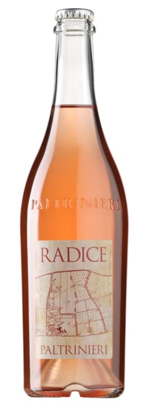 Cantina Paltrinieri Radice Lambrusco di Sorbara 2021 Front Bottle Shot