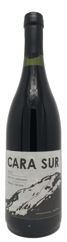 Cara Sur Tinto 2018 Front Bottle Shot