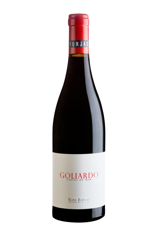 Forjas del Salnes Goliardo Tintos de Mar 2019 Front Bottle Shot