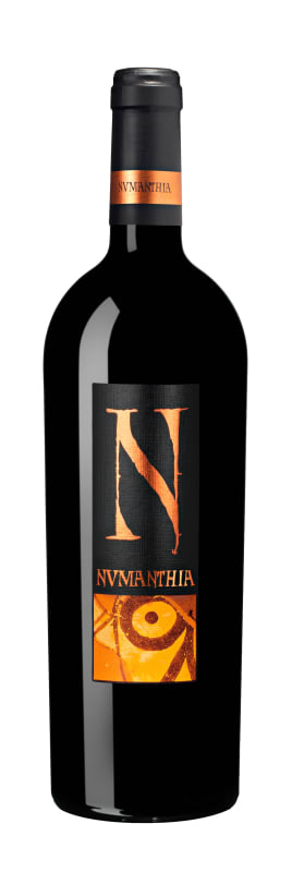 Numanthia Toro 2007 Front Bottle Shot